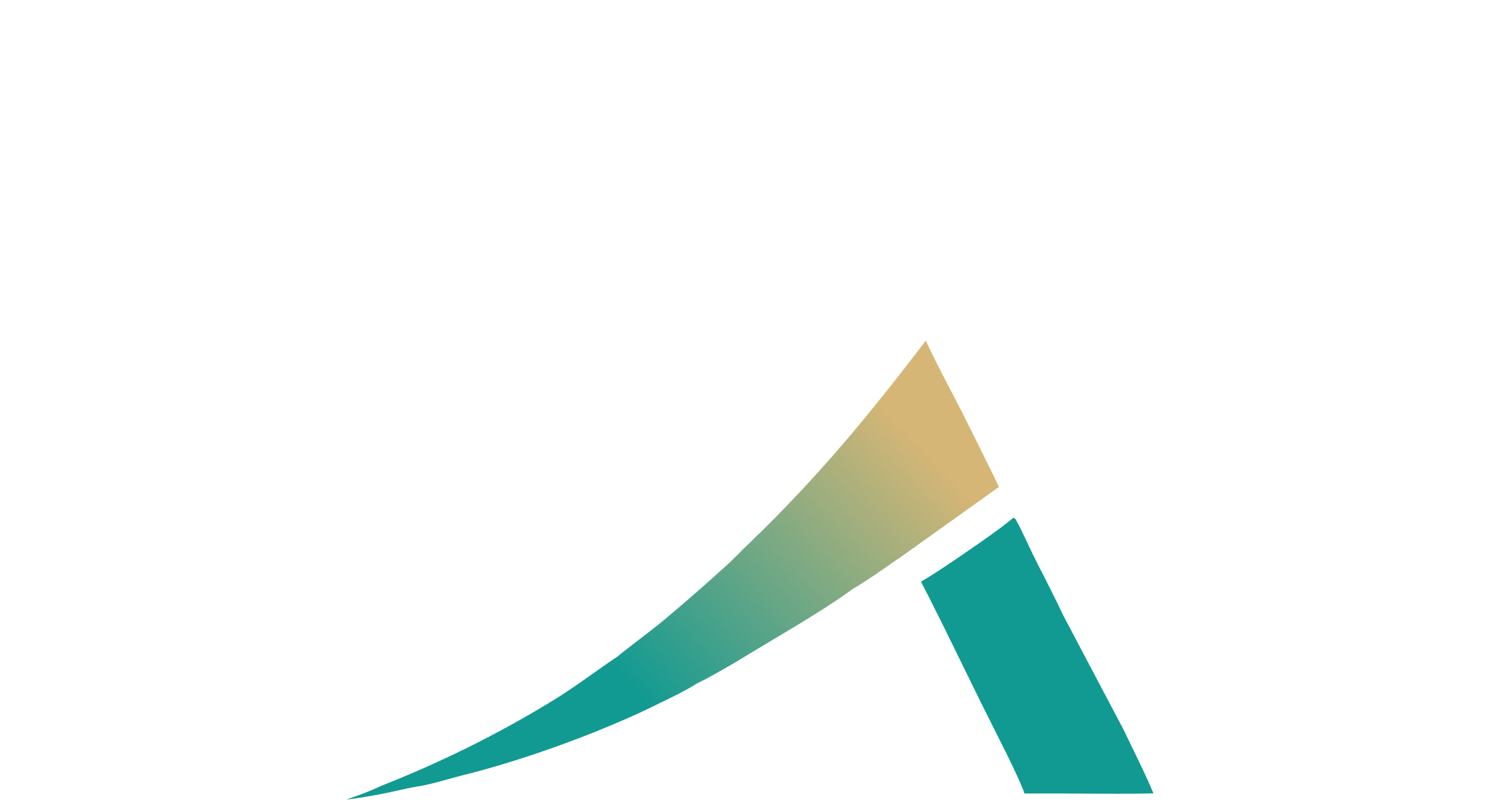 White Logo Var E1782545815810